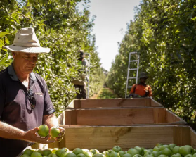 Australia’s Agriculture Sector Faces Workforce Crisis as Young Talent Dries Up