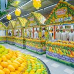 APEDA Launches ‘Indian Mango Mania 2025’ in Abu Dhabi to Promote Premium Indian Mango Exports