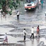 Gujarat Receives 50% Surplus Rainfall in 12 Districts, Boosting Kharif Prospects