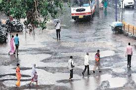 Gujarat Receives 50% Surplus Rainfall in 12 Districts, Boosting Kharif Prospects
