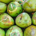 Coconut Prices Surge in Karnataka Following Crop Damage from Extreme Weather