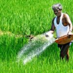 Telangana Faces Looming Urea Shortage; Agriculture Minister Urges Centre for Immediate Supply
