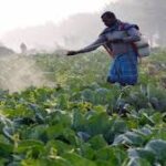 Rising Agricultural NPAs in the US Spark Concerns, Call for Targeted Reforms and Support Mechanisms