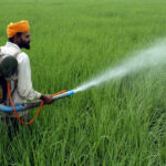 Maharashtra Launches ‘Krishi Samruddhi Yojana’ to Boost Farmer Income and Modernize Agriculture