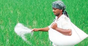 Uttar Pradesh Ensures Steady Fertilizer Supply for Kharif Season, Cracks Down on Hoarding and Black-Marketing