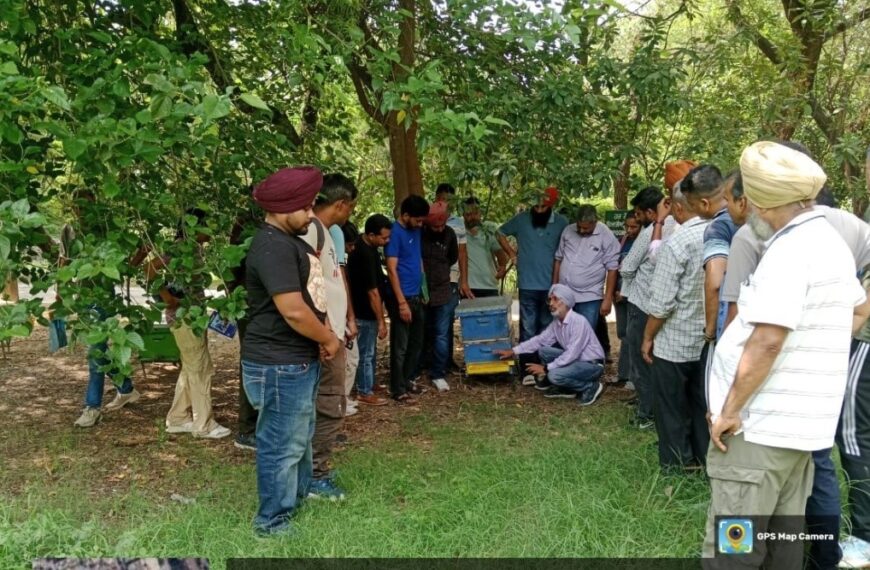 PAU Conducts Five-Day Beekeeping Training for Beginners, Empowering Rural Youth and Security Personnel