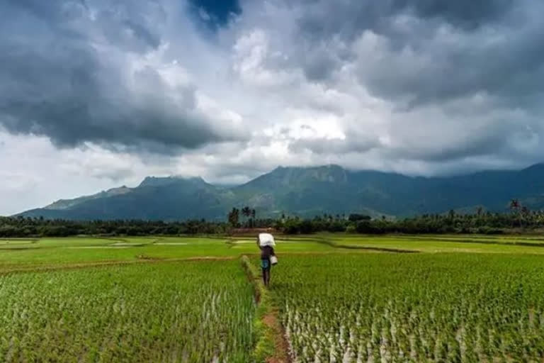 Early and Strong Monsoon Brings Hope to Indian Agriculture