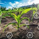 Precision Technology and AI Bring a New Dawn for Indian Agriculture