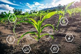 Precision Technology and AI Bring a New Dawn for Indian Agriculture