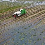 U.K. Farmers Sound the Alarm as Climate Risks Threaten Agriculture