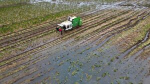 U.K. Farmers Sound the Alarm as Climate Risks…