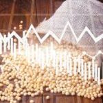 Corn and Soybean Prices Decline Sharply as Bearish Trends Grip Global Markets