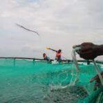 350 ‘Sagar Mitras’ Deployed in Andhra Pradesh to Empower Coastal Fishermen under PMMSY