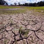 Severe Drought Grips Multiple Regions, Farmers and Communities Face Mounting Challenges