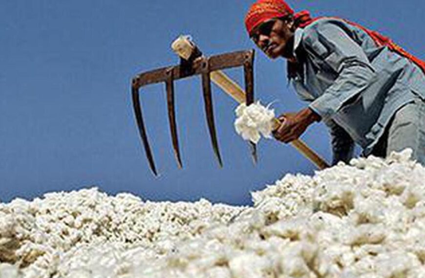 India Extends Cotton Import Duty Exemption Amid Farmer&hellip;