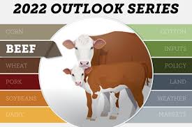 Bullish Outlook for U.S. Beef…