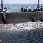 Government Strengthens Measures for Protection and Sustainability of Fisheries Sector