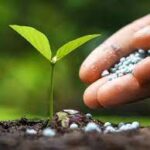 BIOSTIMULANTS AS THE PILLAR OF SUSTAINABLE AGRICULTURE GROWTH