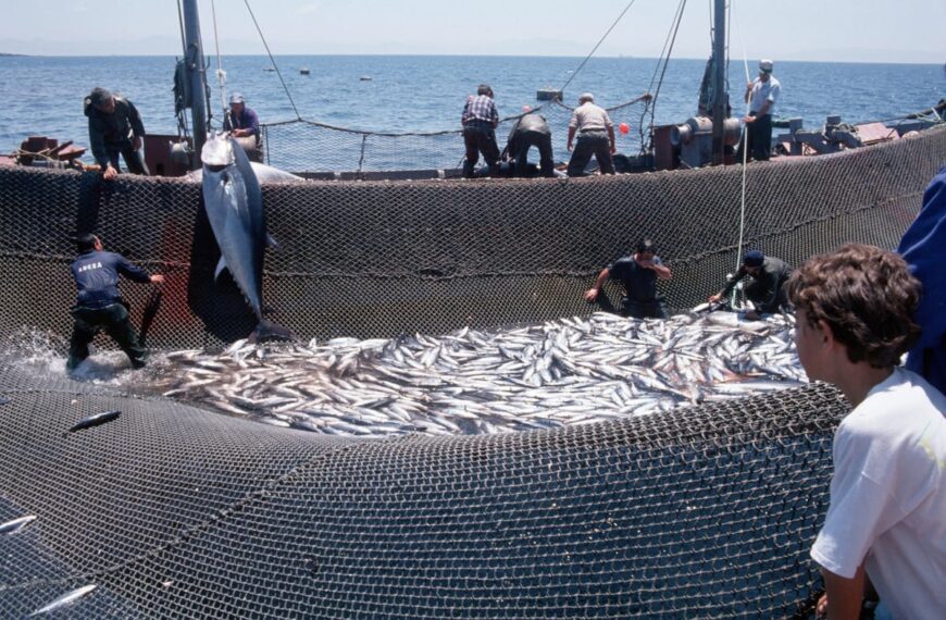 Government Strengthens Measures for Protection and Sustainability of&hellip;