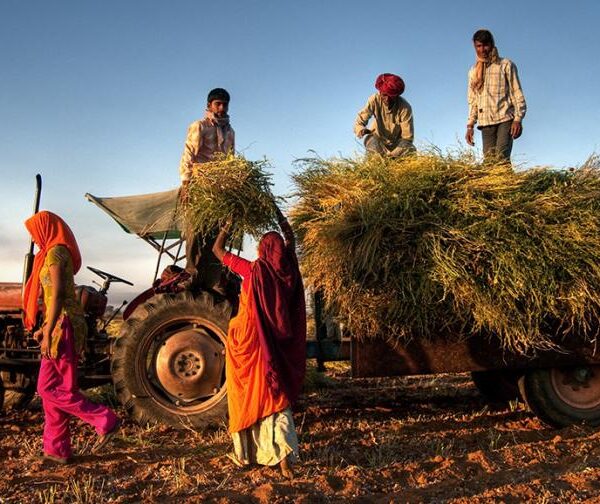 Government’s National Policy Framework on Agriculture and Marketing&hellip;