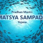 PMMSY Empowers Women in Fisheries with Financial Support and Training