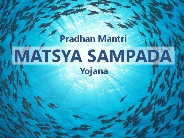 PMMSY Empowers Women in Fisheries with Financial Support&hellip;