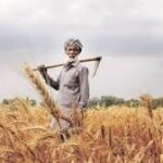 PMFBY Benefits Over 34 Lakh Farmers Across India
