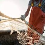 Over ₹21,000 Crore Approved for Fisheries Infrastructure Development Under PMMSY