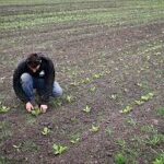 UK Farmers Struggle Amid ‘Devastatingly Dry’ Season