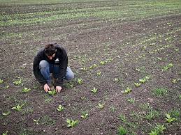 UK Farmers Struggle Amid ‘Devastatingly Dry’ Season