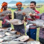 India Celebrates National Fish Farmers Day 2025 with Major Announcements to Boost Fisheries Sector