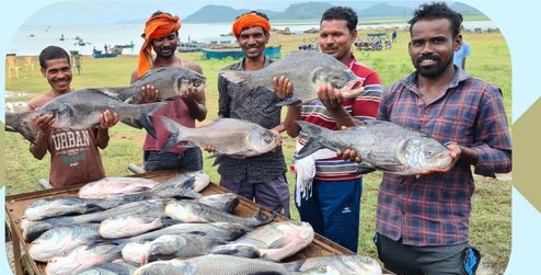 India Celebrates National Fish Farmers Day 2025 with&hellip;
