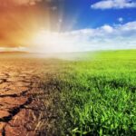 Government Strengthens Technical Support and Insurance Measures for Pest and Climate-Related Crop Losses