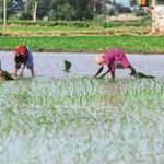 India: Retail Inflation Eases for Farm and Rural Workers