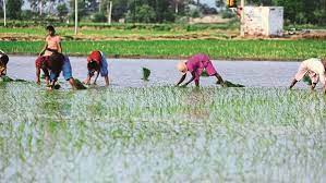 India: Retail Inflation Eases for Farm and Rural&hellip;