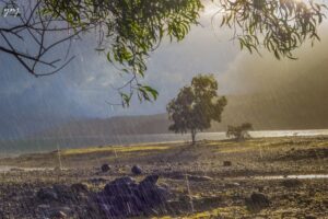 India’s Monsoon Outlook Promises Boost to Farm Sector