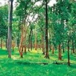 Over 25 Lakh Titles Distributed Under Forest Rights Act: Centre Emphasizes Awareness and Faster Implementation