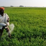 Fertilizer Irregularities Lead to Service Centre Shutdowns in Nagpur