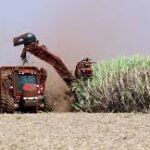 Brazil, Mexico Advance Agriculture & Biofuel Trade Deals