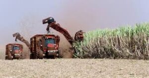 Brazil, Mexico Advance Agriculture & Biofuel Trade Deals