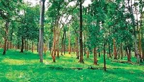 Over 25 Lakh Titles Distributed Under Forest Rights&hellip;