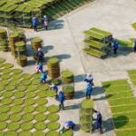 India Promotes Agricultural Heritage with National Support for GIAHS Sites