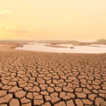 Droughts Increasing Pressure on Meat & Dairy Sector