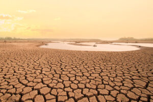 Droughts Increasing Pressure on Meat & Dairy Sector