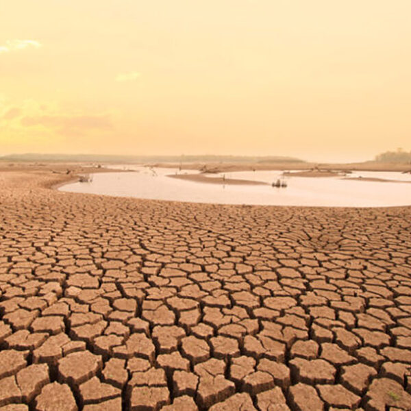 Droughts Increasing Pressure on Meat & Dairy Sector