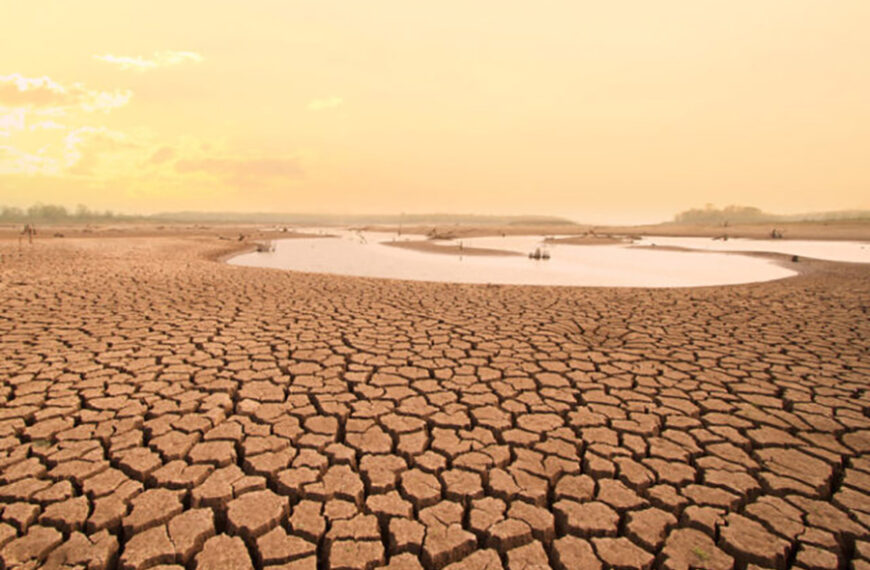 Droughts Increasing Pressure on Meat & Dairy Sector