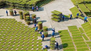 India Promotes Agricultural Heritage with…