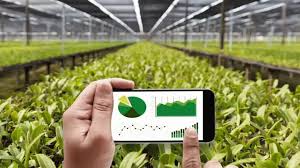 Dakotafest Returns with Focus on Education and Policy