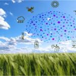 Data-Driven Agricultural Research Enters New Era with EO-NAM and Data Feminism