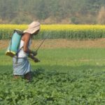 India’s Rajasthan Farmers Protesting Nano-Urea Mandate